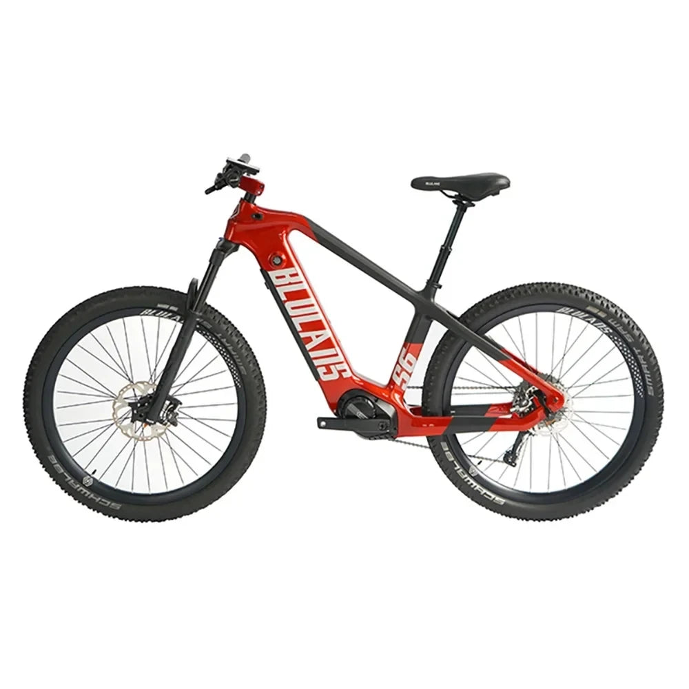 Motorcycle 2000w Cycling Speed Mountain Bike Lithium Battery Mens Women's Ebike