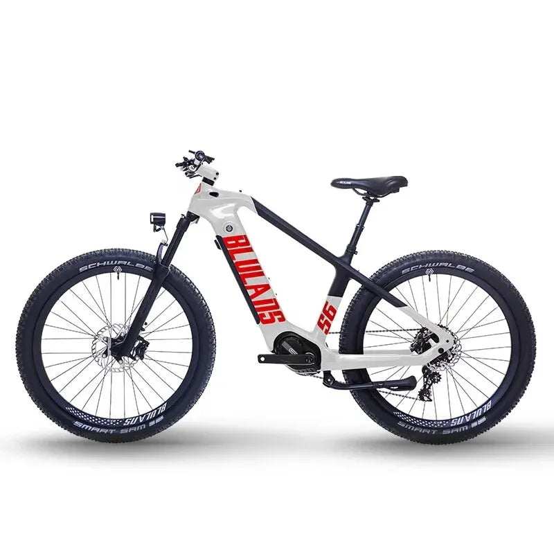 Motorcycle 2000w Cycling Speed Mountain Bike Lithium Battery Mens Women's Ebike