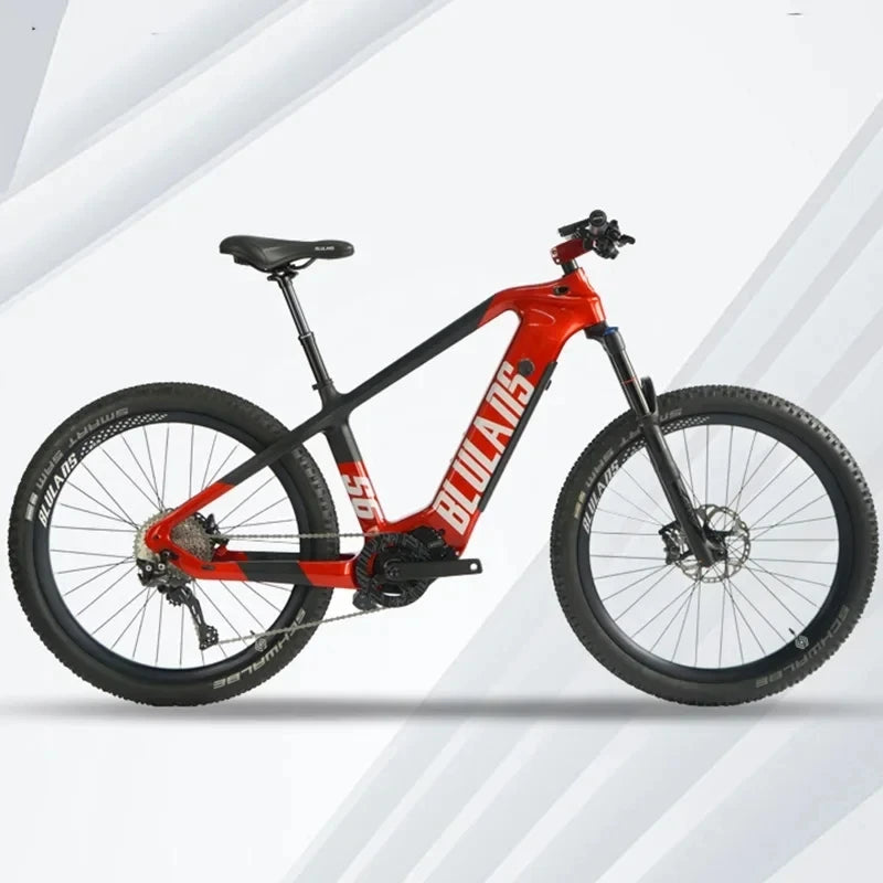 Motorcycle 2000w Cycling Speed Mountain Bike Lithium Battery Mens Women's Ebike